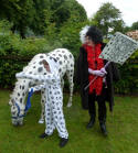 Not quite 101 dalmations